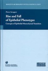 cover of the book Rise and Fall of Epithelial Phenotype: Concepts of Epithelial-Mesenchymal Transition