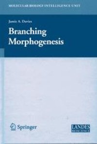 cover of the book Branching Morphogenesis