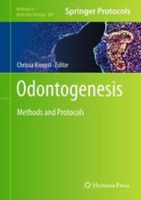 cover of the book Odontogenesis: Methods and Protocols