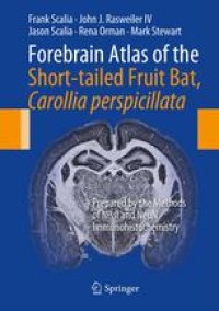 cover of the book Forebrain Atlas of the Short-tailed Fruit Bat, Carollia perspicillata: Prepared by the Methods of Nissl and NeuN Immunohistochemistry