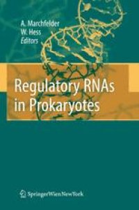 cover of the book Regulatory RNAs in Prokaryotes