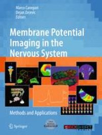 cover of the book Membrane Potential Imaging in the Nervous System: Methods and Applications